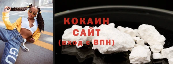 прущий лед Вяземский