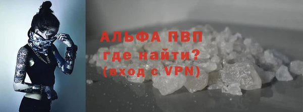 амф Горняк