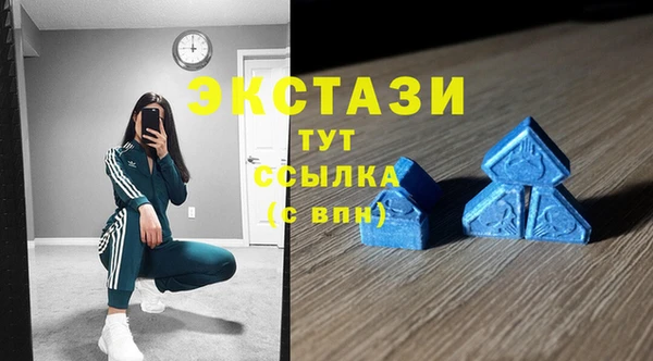 амф Горняк