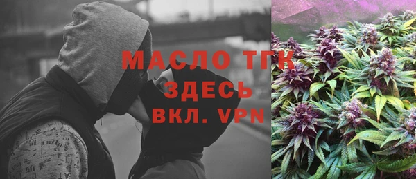 прущий лед Вяземский