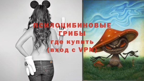 прущий лед Вяземский